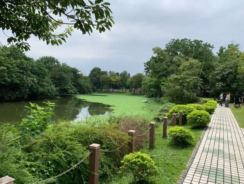 寵物友善公園