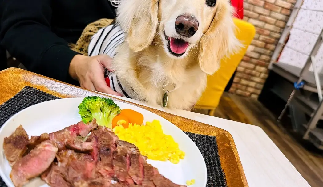 寵物食品成分 寵物食品成分